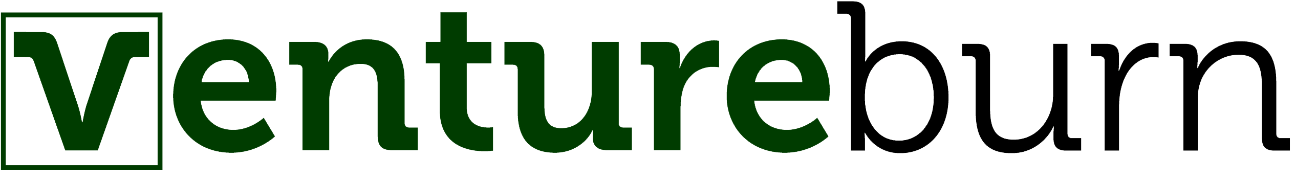 Venture Burn